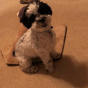 Meet your Posher, Brooke